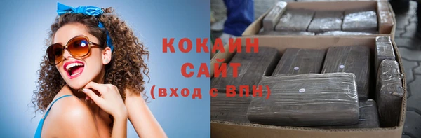 винт Абаза