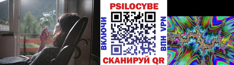 Псилоцибиновые грибы Psilocybine cubensis  mega как зайти  Санкт-Петербург 